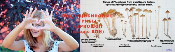 прущая мука Ладушкин