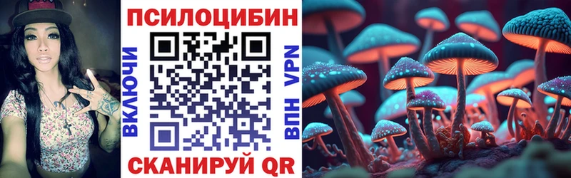 Псилоцибиновые грибы Psilocybe  Купить  Верхний Уфалей 